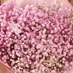 buket rozovoj gipsofily 7